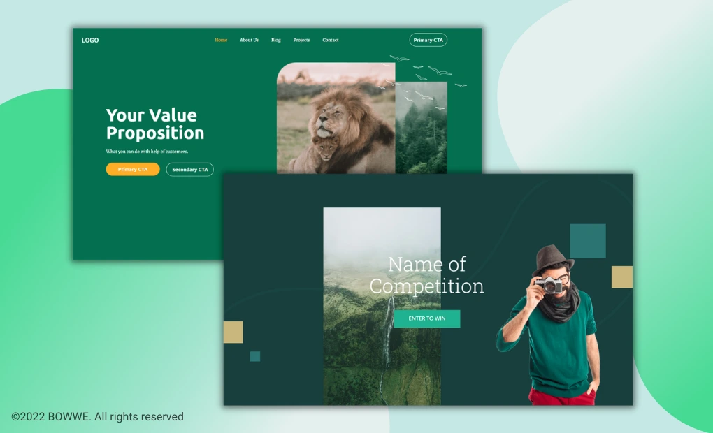 Graphic pf Website Templates from BOWWE